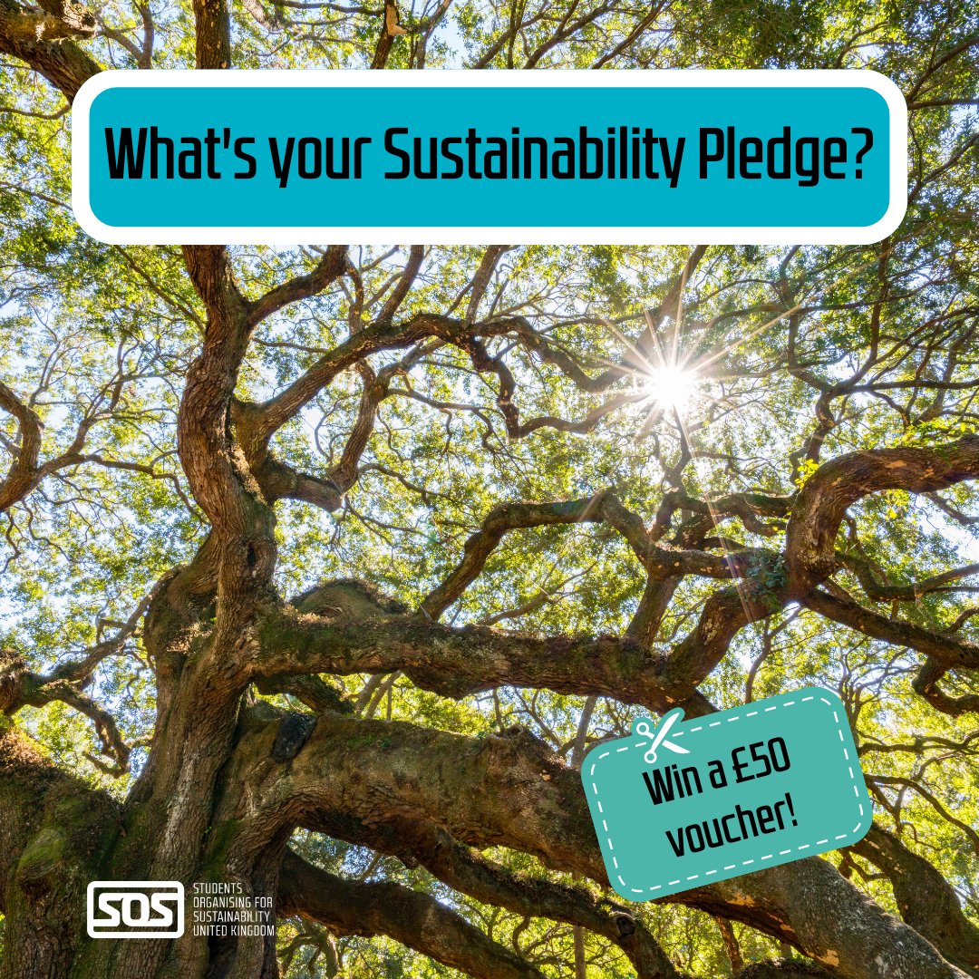 sosukcharity's tweet image. Want to win a £50 voucher? Enter our pledge competition! Take 2 minutes to share your pledge to be more sustainable this year sos-uk.typeform.com/pldege-2023