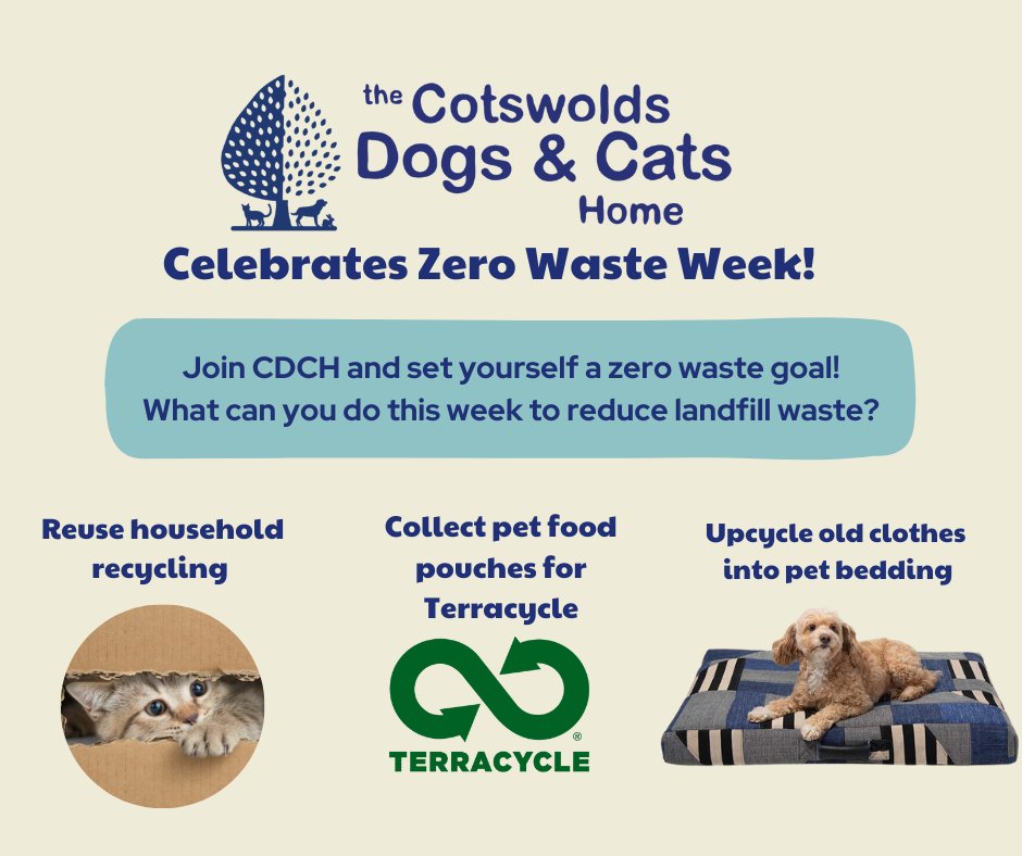 This week CDCH is celebrating Zero Waste Week 🌍! Pick up some great easy eco tips from the CDCH team here:

cotswoldsdogsandcatshome.org.uk/top-5-tips-to-…

#ecofriendly #cotsdogscats #zerowasteweek #pets #ecofriendlypets #ecofriendlypettoys