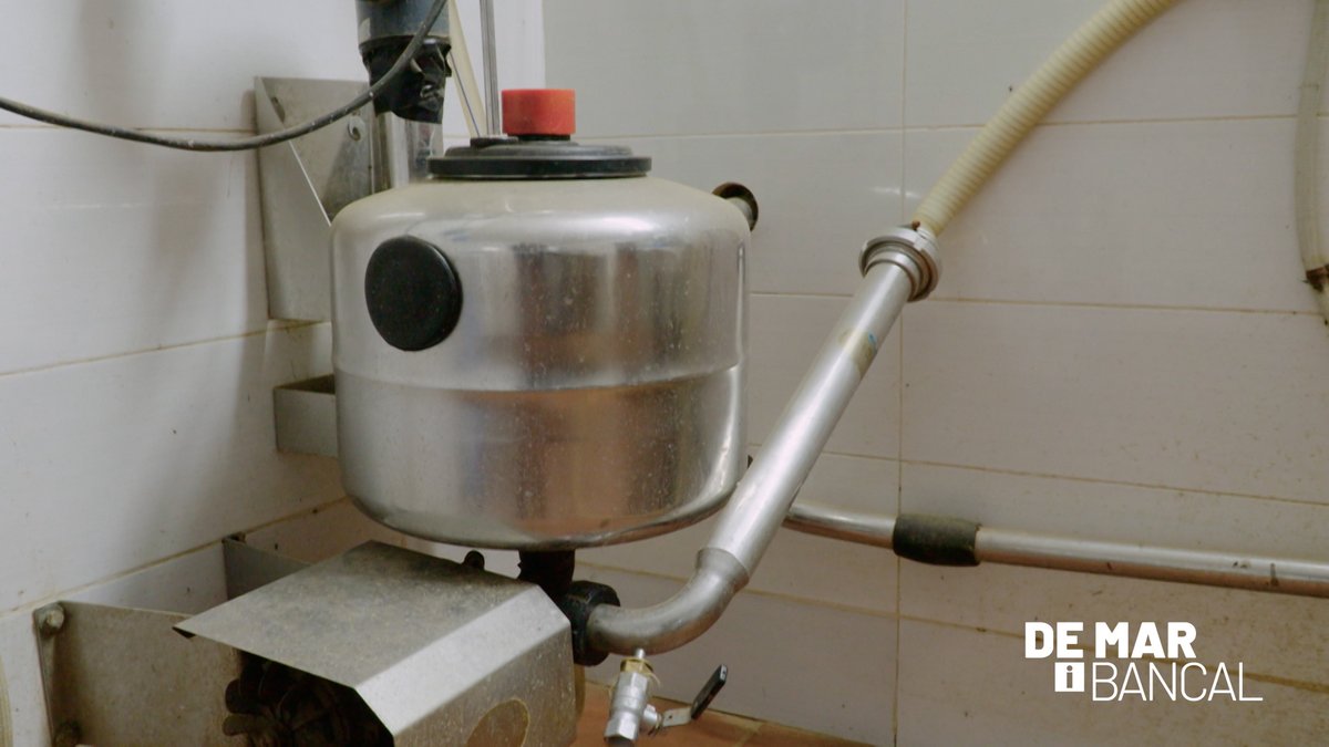 🧀 Alguna vegada t'has plantejat quin és el recorregut que fa la llet de la mamella de l'ovella fins que es converteix en formatge? Jordi, pastor i formatger de Xert, ens ensenya com és la maquinària de munyir.

Més, hui a les 13:25 h. #DeMarIBancal
apuntmedia.es/programes/de-m…