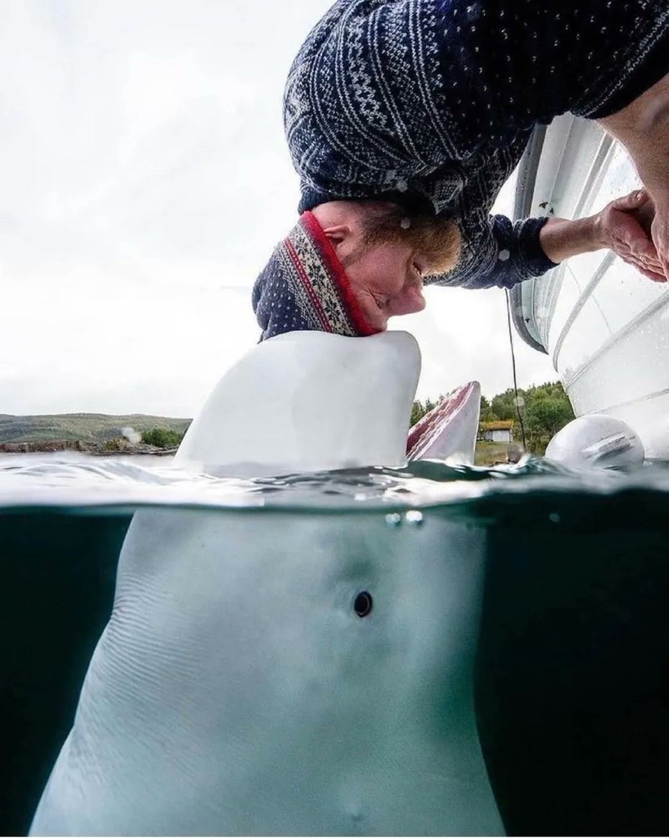 We are all spiritual beings
Meant to live together in harmony
All of us.

A D Williams 
📸 Alexsander Nordhal