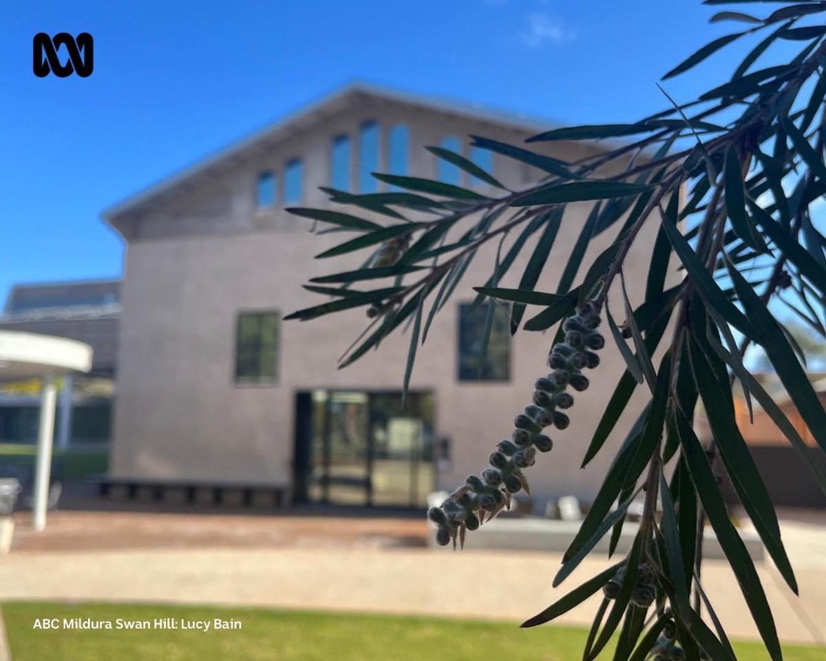 Debra Pearce tweet media