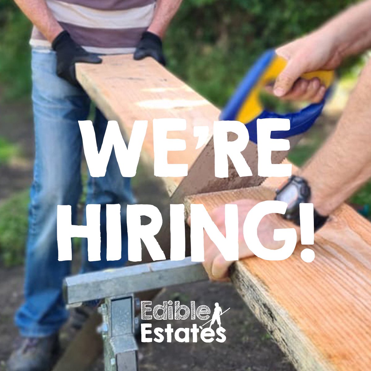 GrowTogetherEd's tweet photo. ✨Please RT✨

Project Development Officer for Lend a Hand Programme, provide opps for individuals 50+ &amp; out of employment to gain training in joinery/landscaping/horticulture 

Deadline: Sep 15th
Interviews: Sep 26th
35 hours p/w, £28,181, fixed term 1st Oct-31st Mar (1/3) https://t.co/31ImI5Pvu6