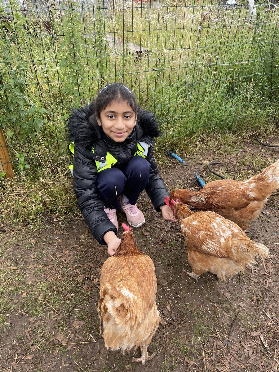 Y4stsilasREMAT's tweet photo. A fantastic trip to end the school year with the @CountryTrust. We had the amazing opportunity to feed lambs, collect eggs from the chicken coops and get involved in lots of other farm related activities!  🐑🐄🐓#SilasEnrichment #LifeOnAFarm https://t.co/0apNG9CgHP