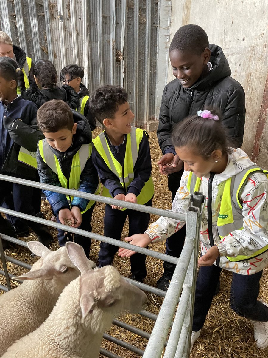 Y4stsilasREMAT's tweet photo. A fantastic trip to end the school year with the @CountryTrust. We had the amazing opportunity to feed lambs, collect eggs from the chicken coops and get involved in lots of other farm related activities!  🐑🐄🐓#SilasEnrichment #LifeOnAFarm https://t.co/0apNG9CgHP