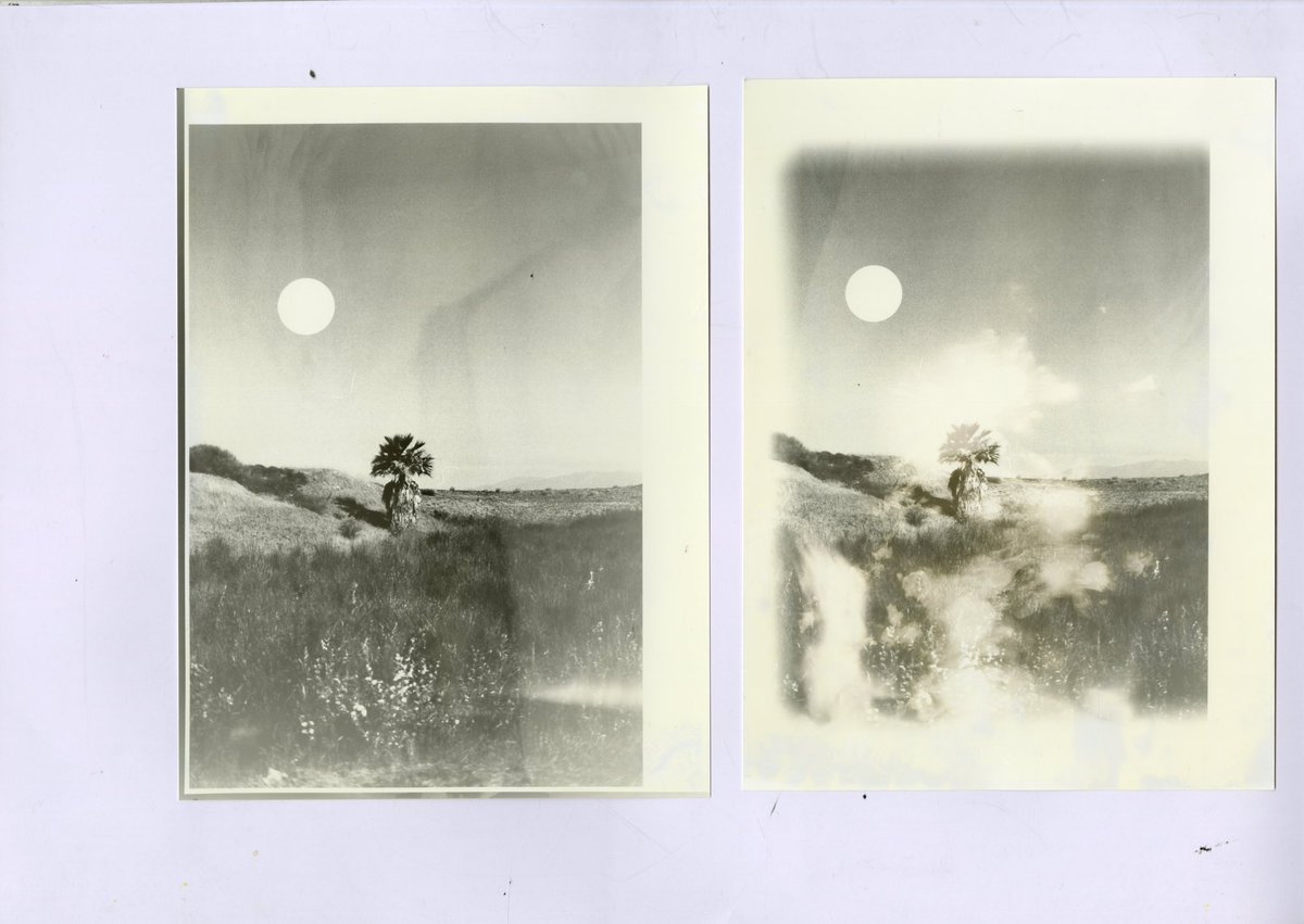 Harper Slone tweet media