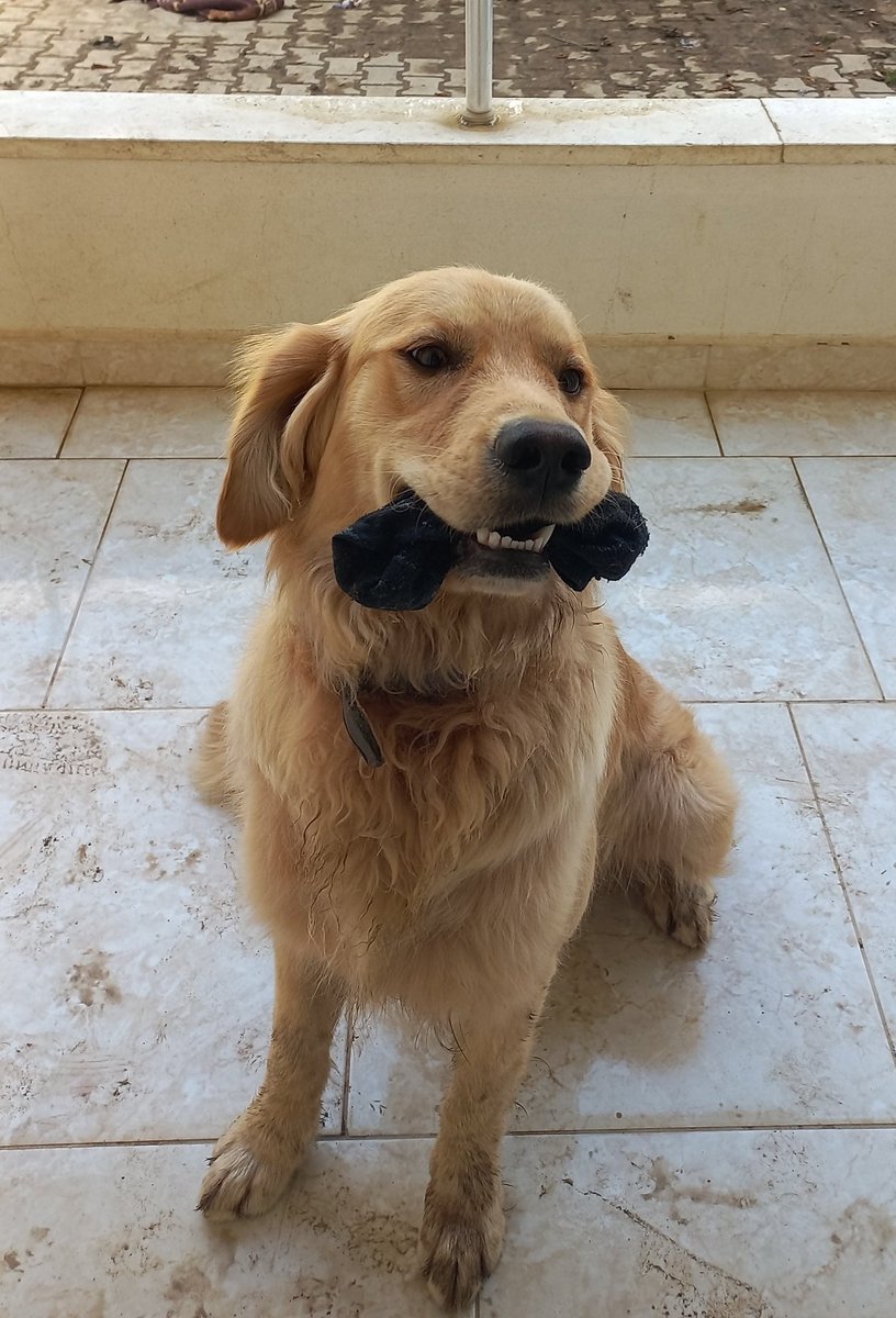 Hande (@handebalikci) on Twitter photo 