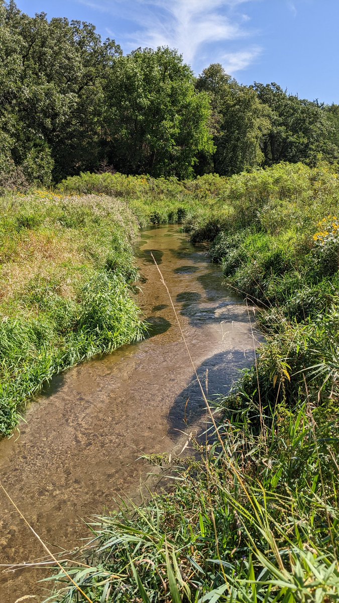 BraxtonFecht's tweet photo. @NEGameandParks Beautiful area at Grove Lake WMA. We are enjoying the scenery on this HOT weekend! Now...if only the fish would bite. https://t.co/hdIcyvb85A