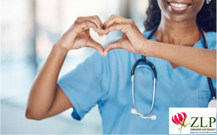 Zimbabwe Life Project tweet media