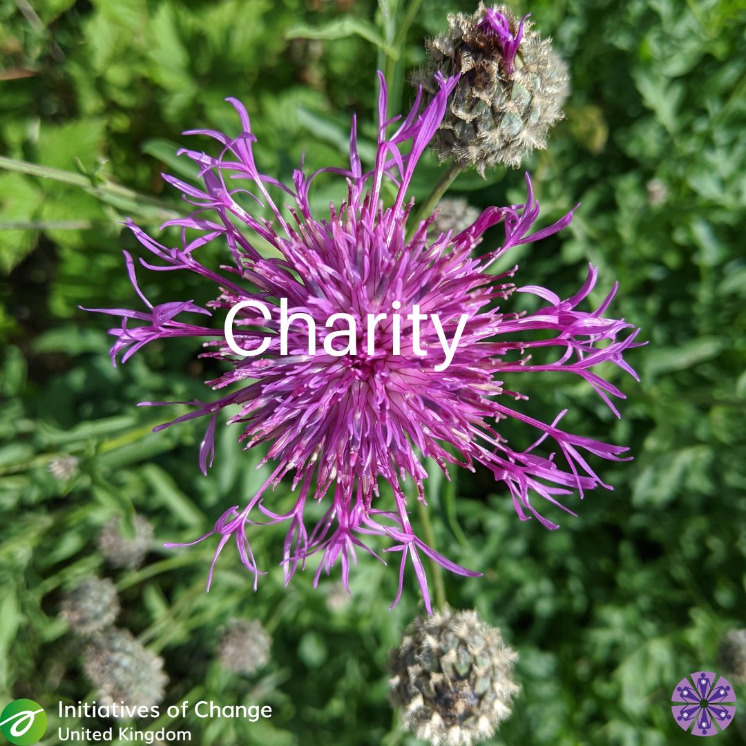 Creators of Peace UK tweet media