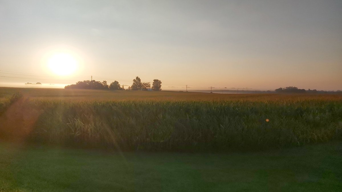 Devin Homick tweet media