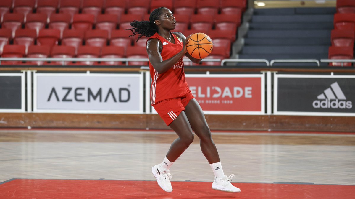 🏀 Continuam os 𝐭𝐫𝐚𝐛𝐚𝐥𝐡𝐨𝐬 para os jogos de preparação em Espanha!

#BasketBenficaFem • #GlobalImagem #SAMS #KellyPortugal <a href="/adidas/">adidas</a>
