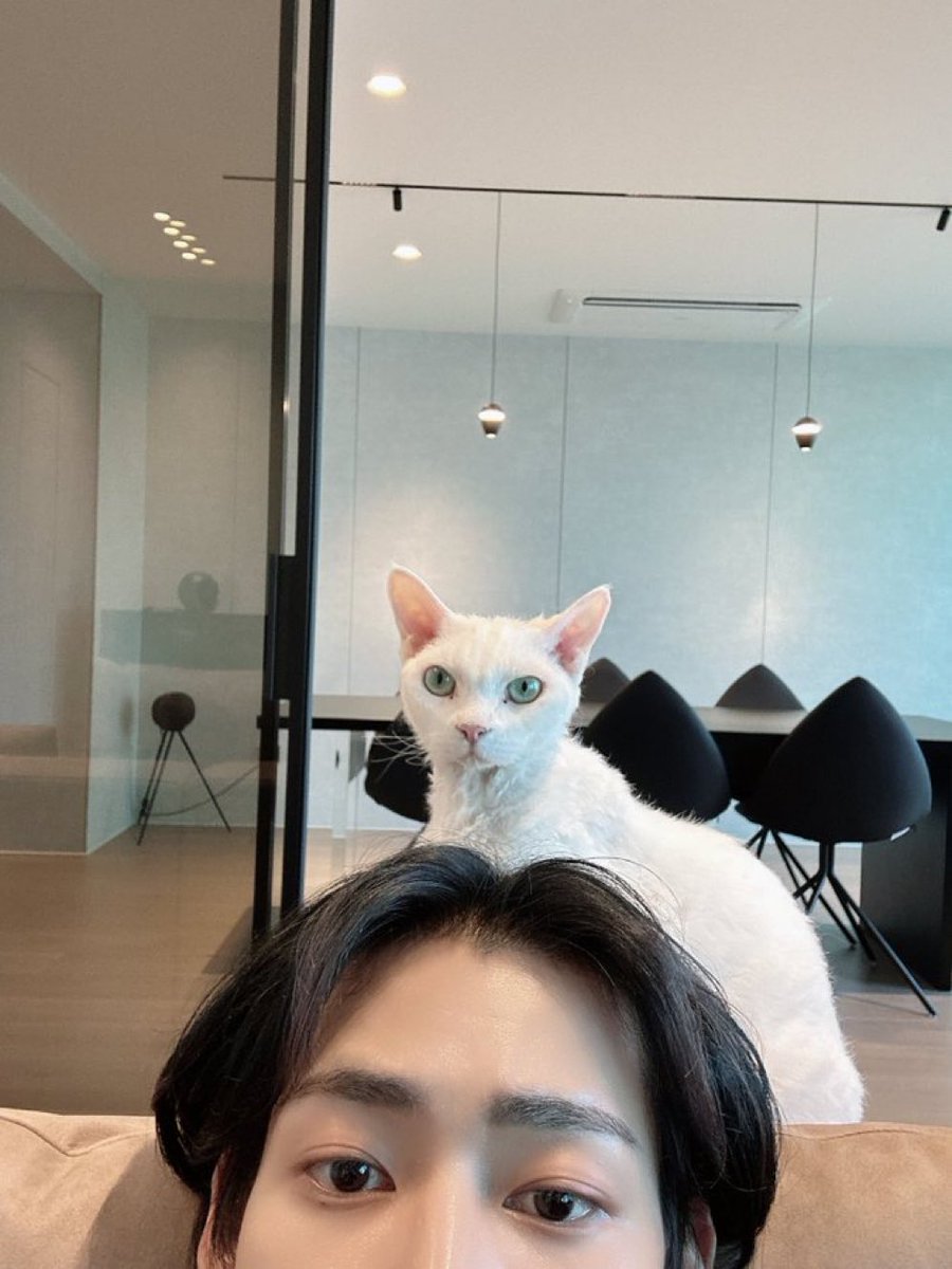 temfaki's tweet photo. ละน้องแบมเหมือนแมวตัวเองอะไรขนาดนั้นอะ 55555555555555 https://t.co/GYeo87IU5a