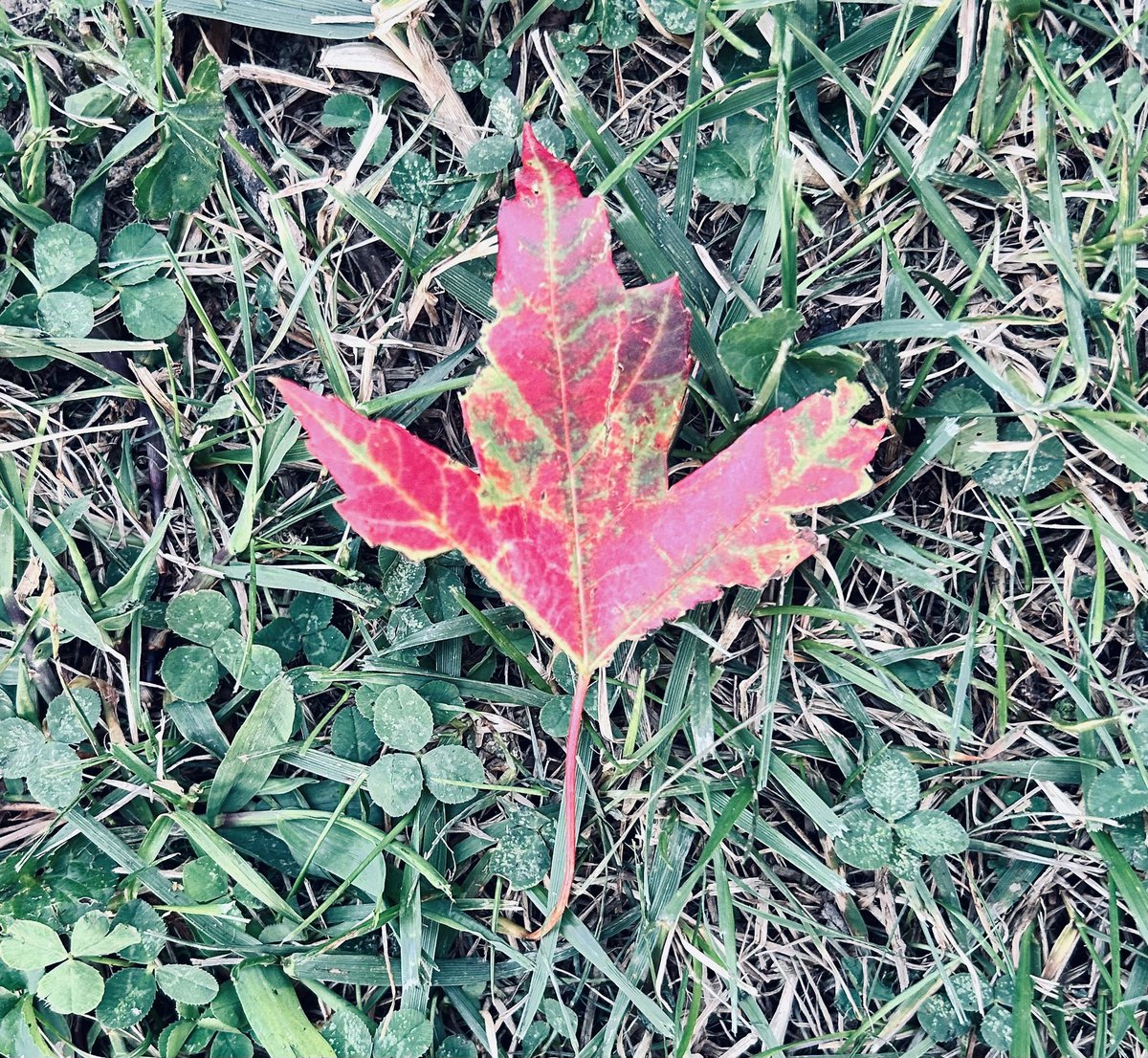 cammillerfilms's tweet photo. It’s coming. #Falltastic https://t.co/bDhW4QYYSl