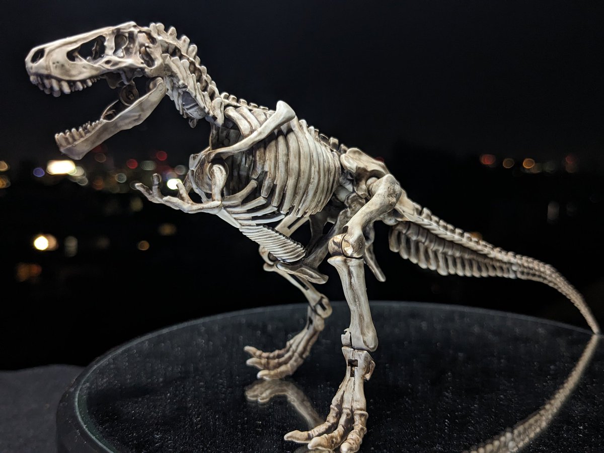 yoh2's tweet photo. 🦖がおー https://t.co/eiBTTSBaWE