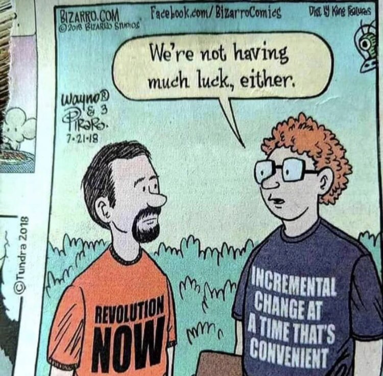 Isley TRANS SOLIDARITY Lynn tweet media