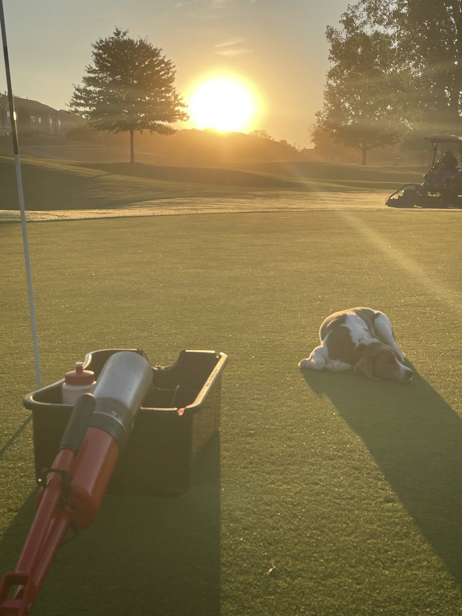 ⛳️ ⁦<a href="/DogsOfTurf/">Dogs Of Turf</a>⁩ 
#turflife