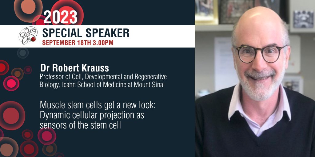 ARMI (@armi_labs) on Twitter photo In ARMI's next Special Seminar, we will be hearing from Dr Robert Krauss <a href="/KraussLab/">Krauss Lab🐣🔬</a> from <a href="/IcahnMountSinai/">Icahn School of Medicine at Mount Sinai</a>, who will discussing his work in understanding the role of quiescent skeletal muscle stem cells in sensing tissue injury. More info: bit.ly/45UL2ke In ARMI's next Special Seminar, we will be hearing from Dr Robert Krauss <a href="/KraussLab/">Krauss Lab🐣🔬</a> from <a href="/IcahnMountSinai/">Icahn School of Medicine at Mount Sinai</a>, who will discussing his work in understanding the role of quiescent skeletal muscle stem cells in sensing tissue injury. More info: bit.ly/45UL2ke