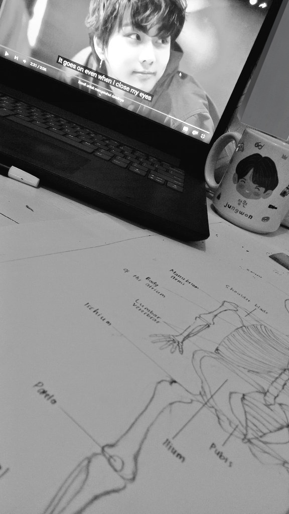 Gonna fight my anatomy task this night, wml (╥﹏╥)