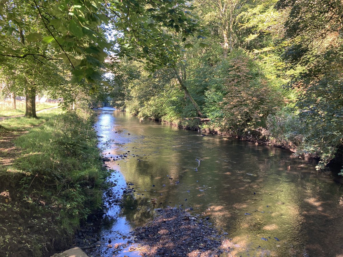 lindsaynoble's tweet image. Another glorious #netwalk around Queens Park and the crimble valley this morning. Wasn’t sure where I was at some points but it was beautiful @InvestRochdale #businessnetworking #Rochdale