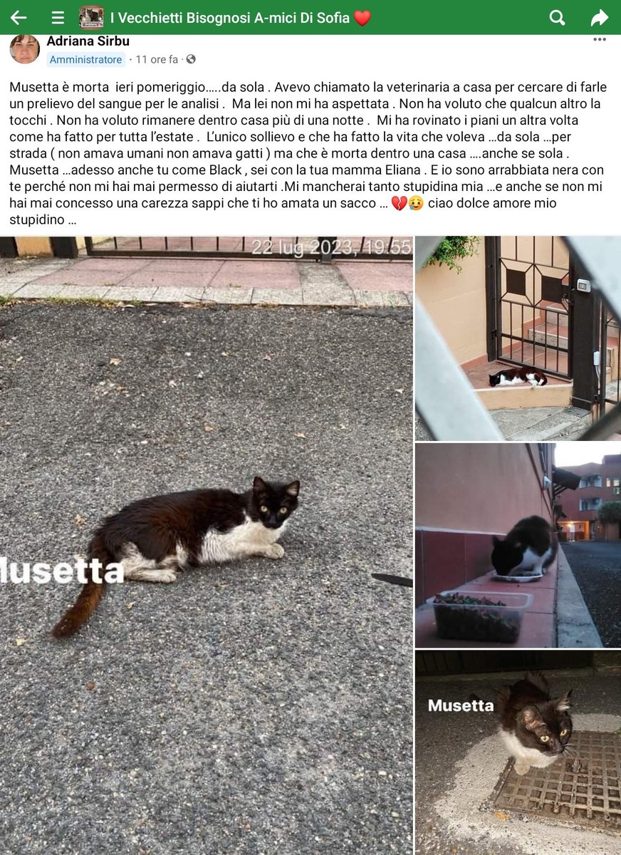 UnOnlus's tweet image. 💔💔💔💔 buon ponte dolce #musetta 😢😢😢