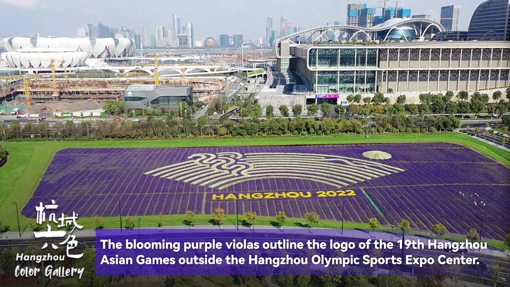 Themed "harmony of colors" , the color system of #Hangzhou AsianGames is dominated by Rainbow Purple, a color implying reunion and unity, vibrancy and innovation