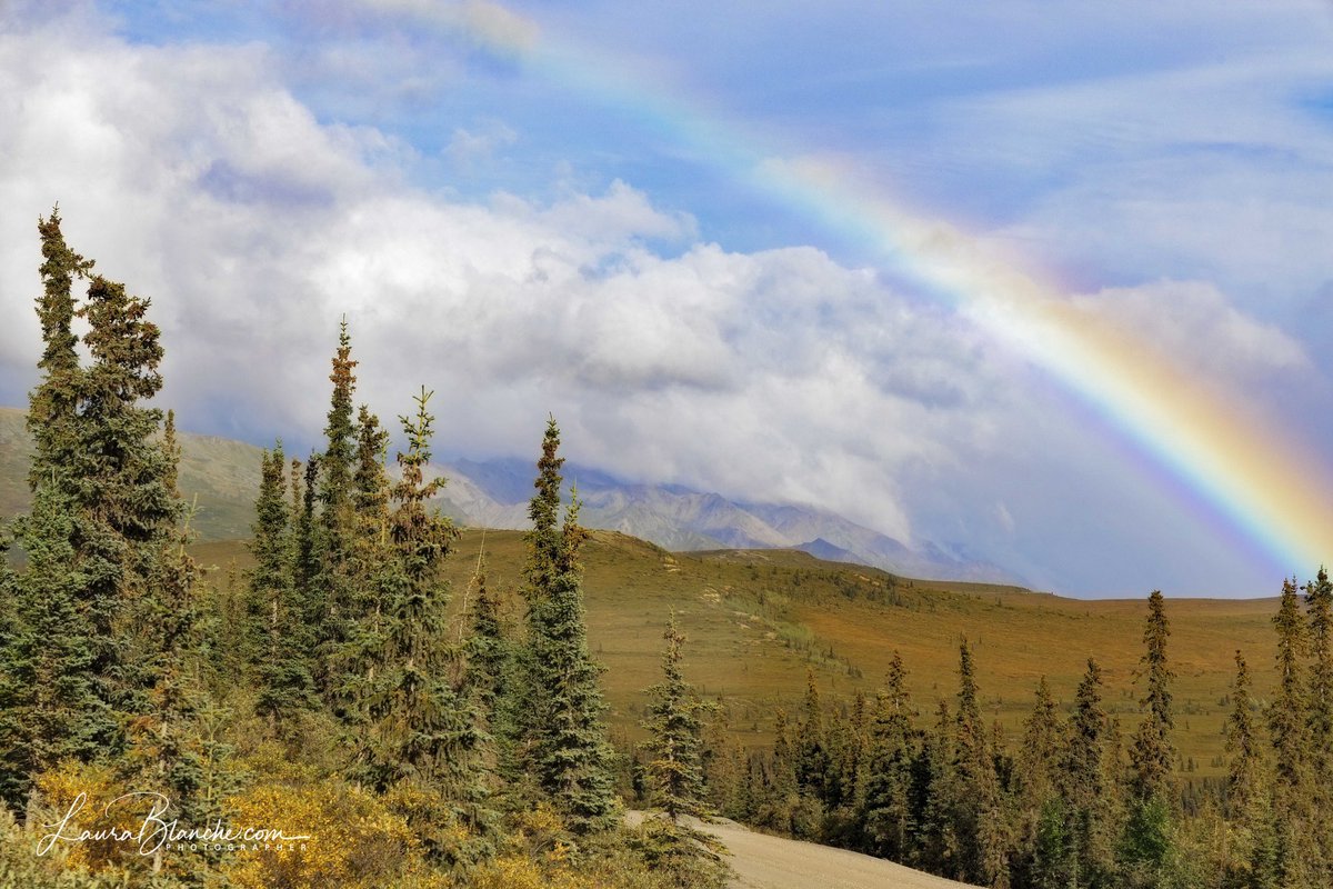 Rainbow Over the Wilderness.  Denali National Park.

#whatiloveabouttravel #DenaliNationalPark #Adventure #Alaska