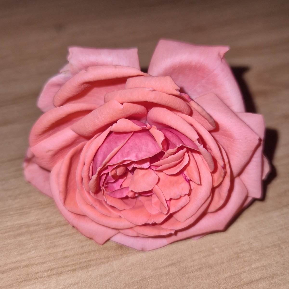 KocoSy's tweet image. Grose préparation pour le salon du Mariage 9 &amp;amp; 10 septembre à la porte de Versailles (10h - 19h). Venez nombreux !