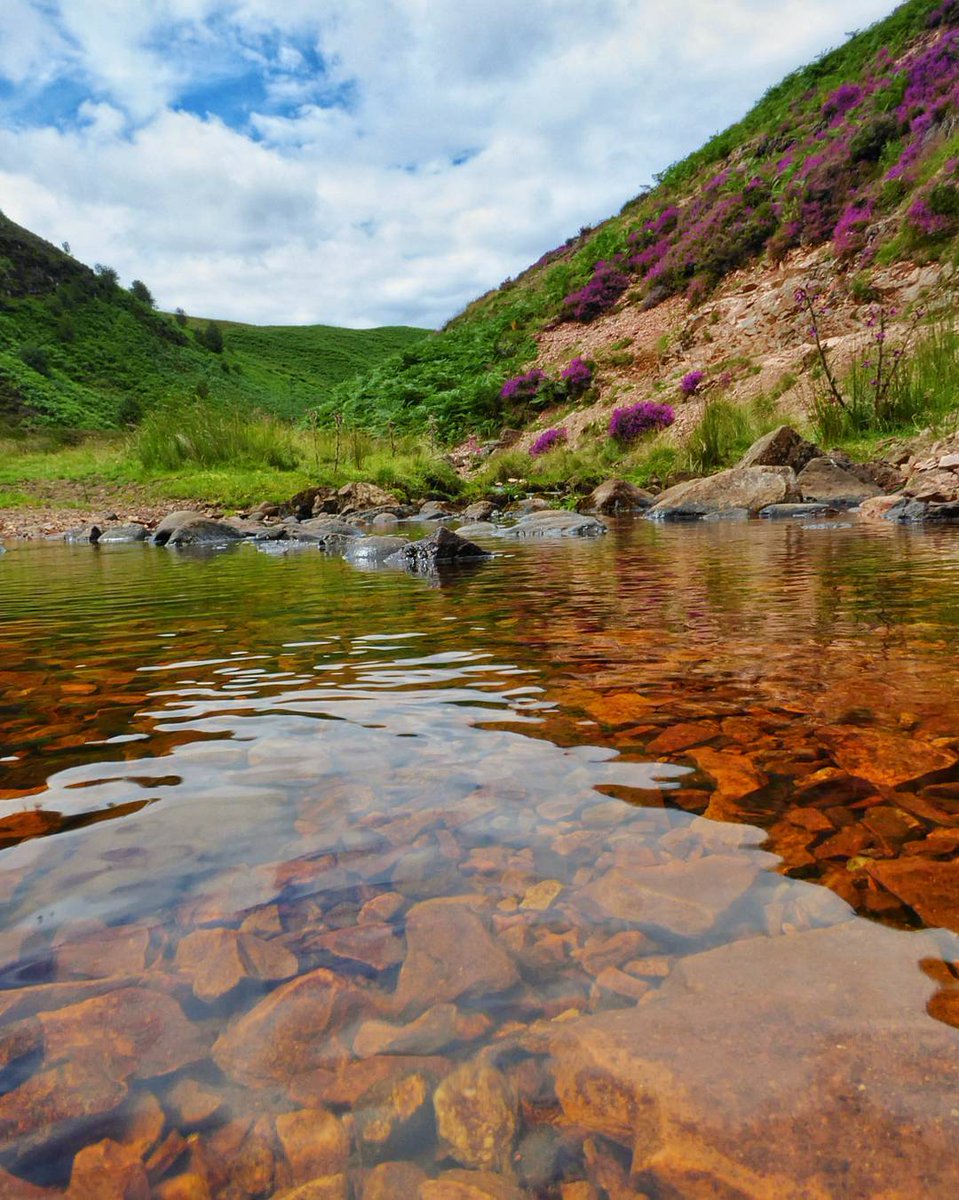 Mark Haldane - find me on Bluesky markhaldane.bsky tweet media