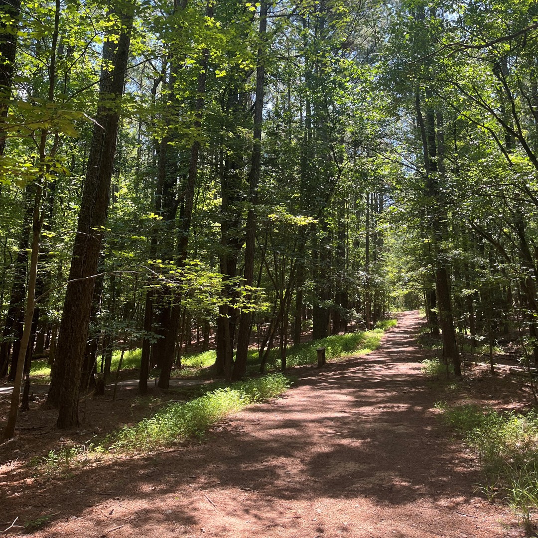 No trip down #HarrisLake County Park's trails is ever the same! 

What's your favorite thing to see during a hike around our @WakeGovParks? 🐦🐢🌲

#TrailTalkTuesday #TrailTalk #YearOfTheTrail #WakeTrails