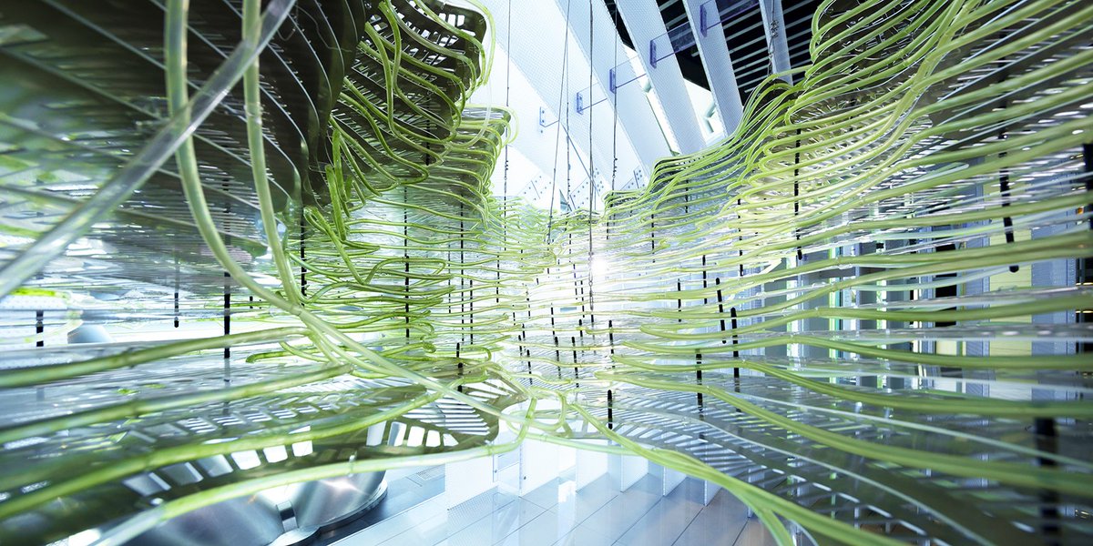 Aesthetica Magazine (@aestheticamag) on Twitter photo #ReadingList | Biodesign in the Age of Artificial Intelligence
The new title from <a href="/ecoLogicStudio/">ecoLogicStudio</a> investigates the potential of nature-based technology for shaping the evolution of contemporary architecture and design. Published by <a href="/routledgebooks/">Routledge Books</a>. bit.ly/3EnK8Rp #ReadingList | Biodesign in the Age of Artificial Intelligence
The new title from <a href="/ecoLogicStudio/">ecoLogicStudio</a> investigates the potential of nature-based technology for shaping the evolution of contemporary architecture and design. Published by <a href="/routledgebooks/">Routledge Books</a>. bit.ly/3EnK8Rp