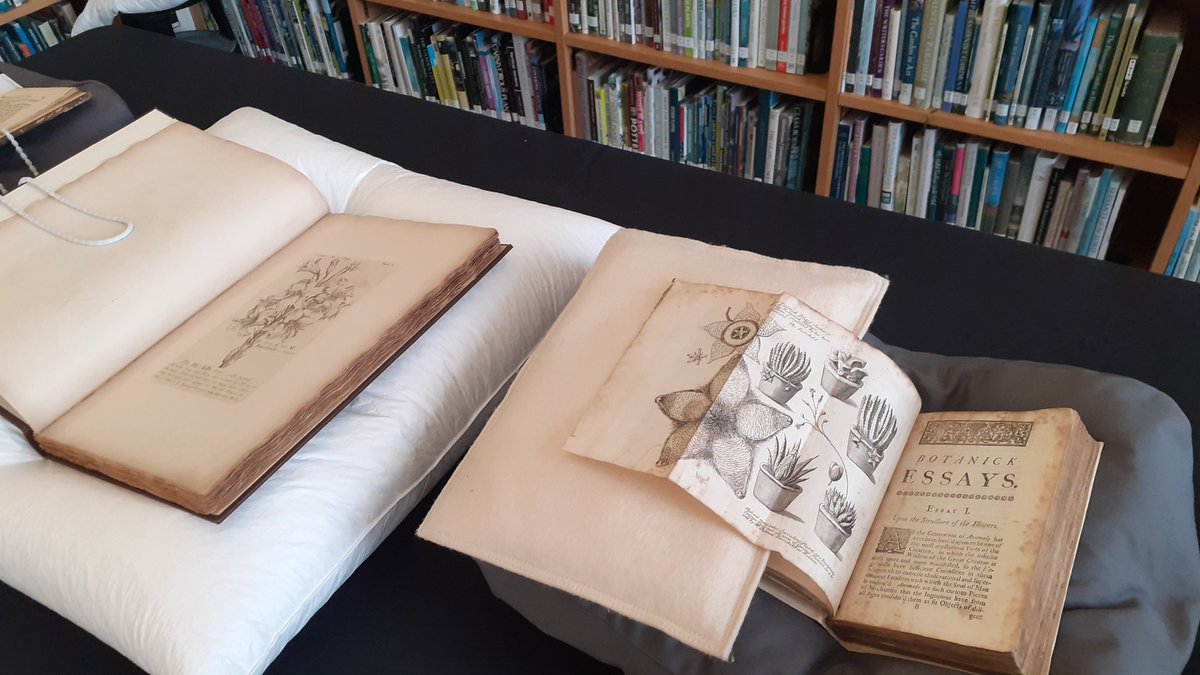 fiona davison tweet media