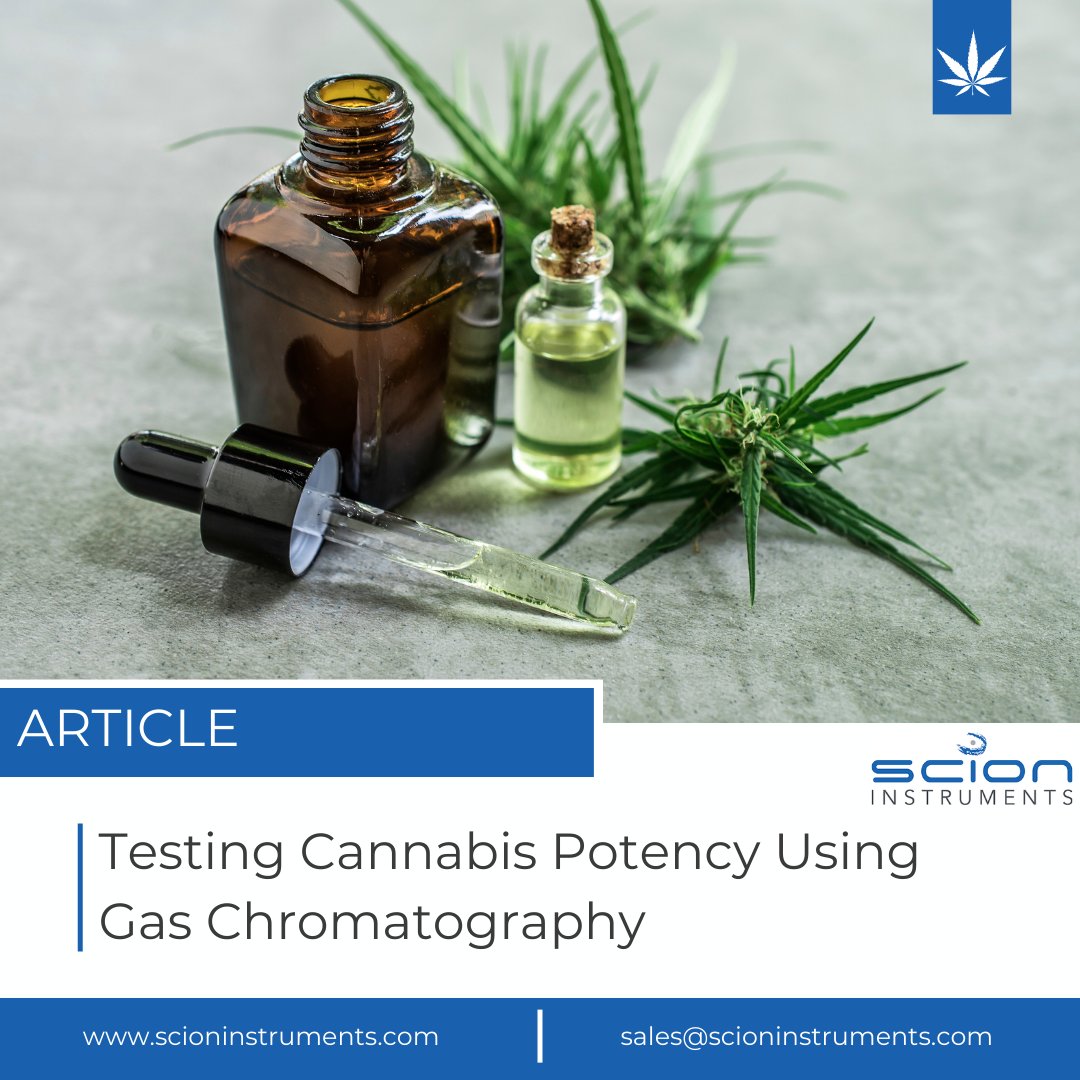 Discover how GC accurately measures cannabis potency. Our reliable method separates compounds, identifies them &amp; provides a precise cannabinoid content measurement. 

Trust us to ensure your safety, accurate labeling &amp; regulation compliance.

scioninstruments.com/blog/testing-c…