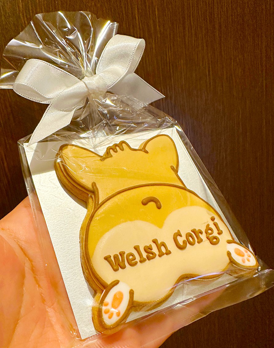 yanagiV's tweet photo. ハロウィン用のお菓子にピッタリ！アイシング・コギケツクッキーは数量限定にて登場です！
大きくてサクサクなコギケツクッキーはお土産やプレゼントにもオススメですよ♪
※コチラは別途ビニールショッパーがありますので入れさせて頂きます。 https://t.co/BSXOVuJymp