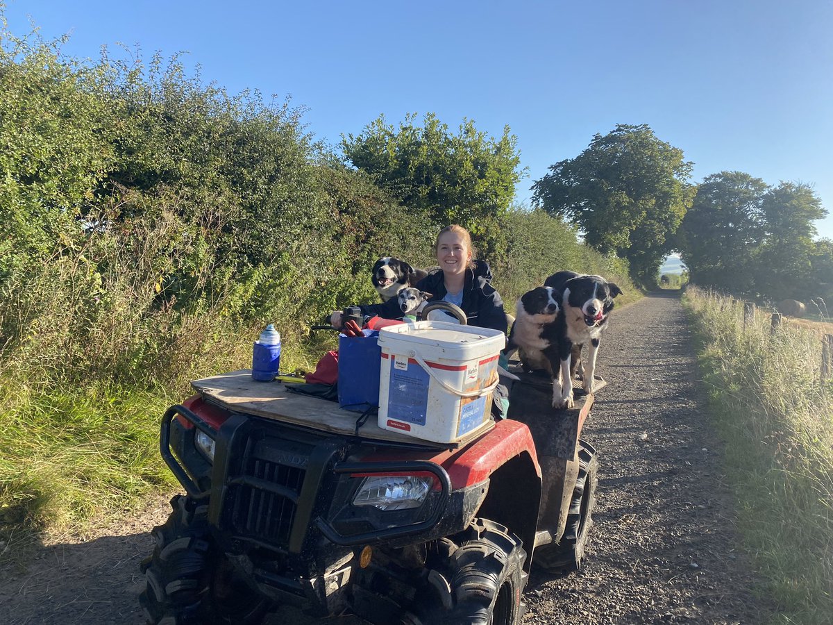 Rosie is back home helping on the farm before going back to uni #FarmLife #scottishborders