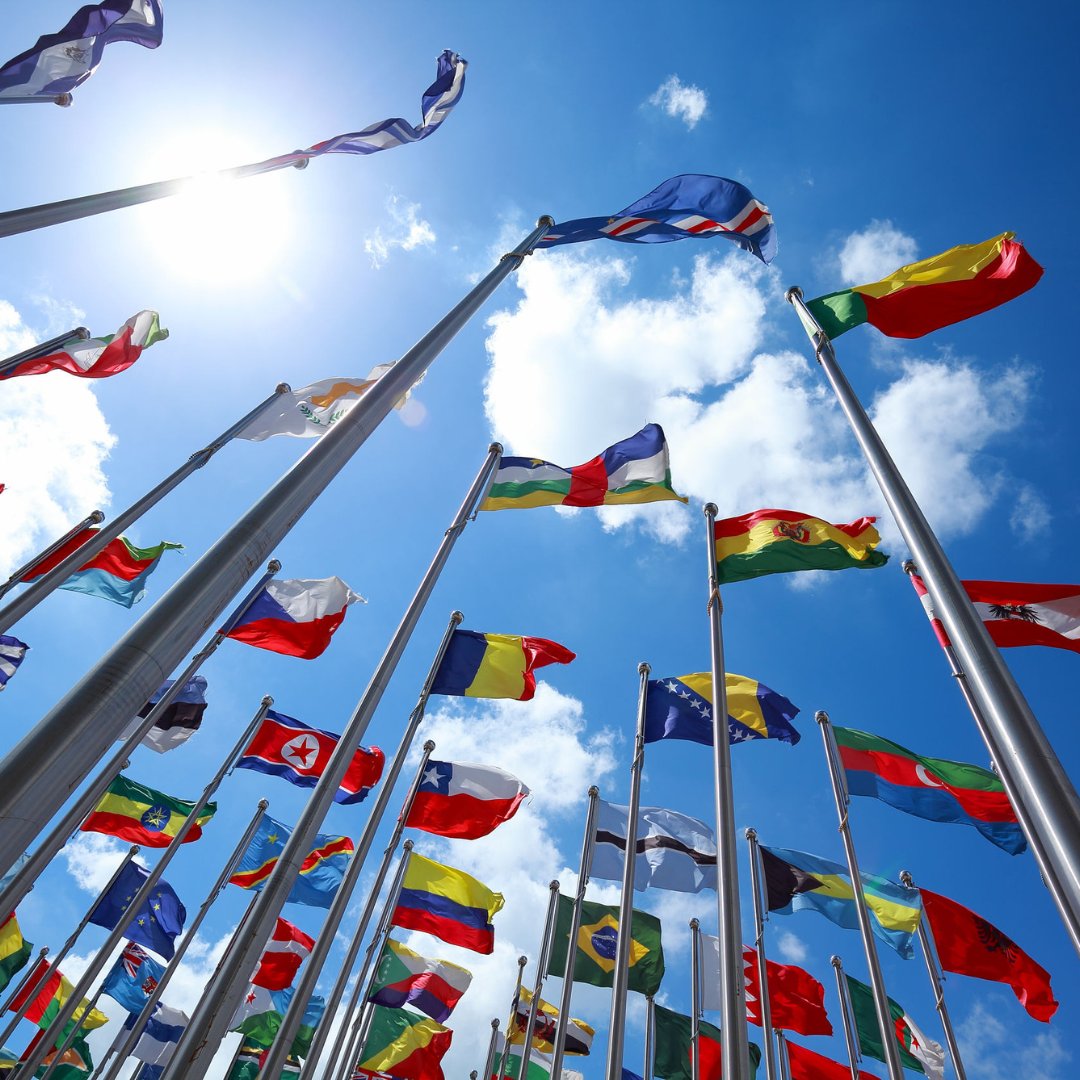 The application deadline for our MSc International Public Policy on Friday 8 September is fast approaching! ⏰

If you have any questions about our online programme or the application process, we can help. Visit our website for the information you need hubs.ly/Q0215tps0 👈