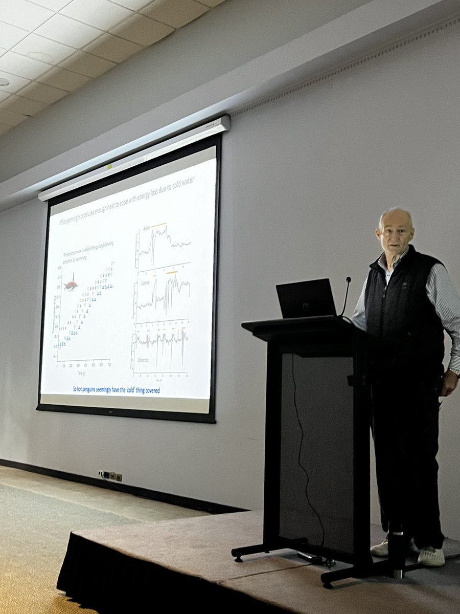 Juliana Vianna tweet media