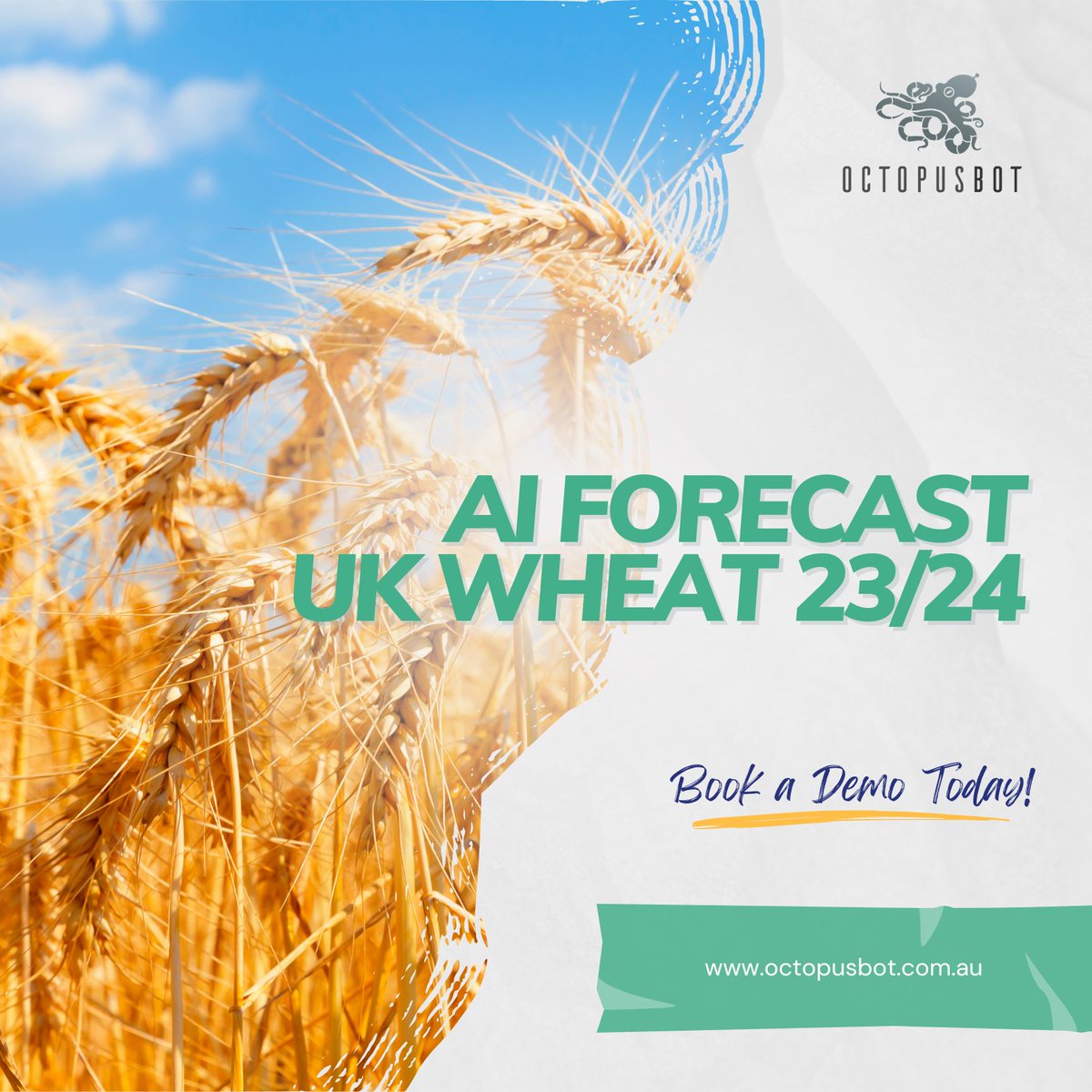 Octopusbot1's tweet photo. π Octopusbot AI forecast predicts reduction for UK Wheat 2023/24.
BOOK A DEMO TODAY and unlock the full potential of our reports, click HERE π https://t.co/tDdc7XpssF
#Octopusbot1 #agtech #machinelearning #oatt #harvest23 #UKWheatProductionΒ #Europe #UK #Wheat #Agriculture https://t.co/3s7wz1CTHC