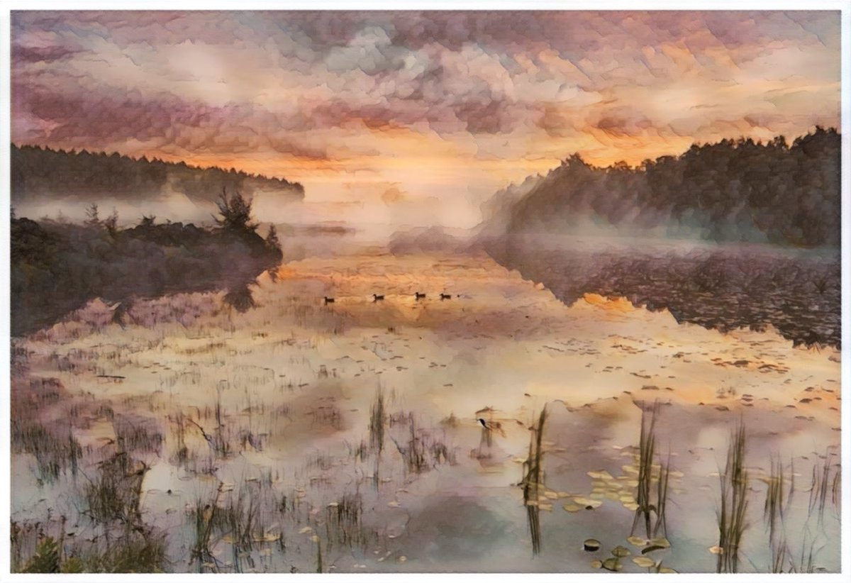 RuthMcDonald1's tweet photo. It’s misty first thing in the morning now - but soon burns off for a warm and sunny September
#Reflection #mist #lake #water #colour #artist #AutumnIsComing #autumnmist https://t.co/paW6RRU1ld