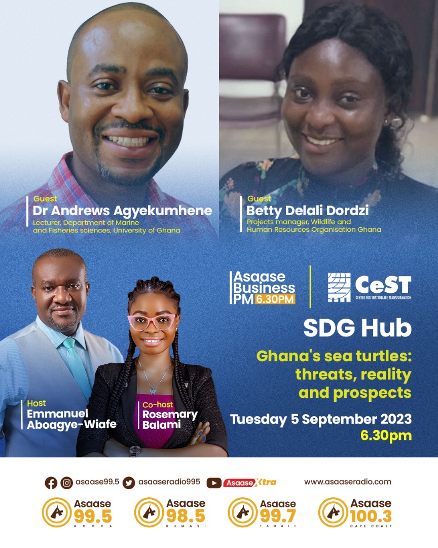 On the #SDGHub today, we'll be furthering the conversation on  issues raised at the just concluded 2nd #Ghana National #Sea Turtle Conference.

We'll be joined by Dr. Andrews of @MaFiSSA_UG of @UnivofGh & Betty of Wildlife & Human Resources Org. Ghana.

6:30PM on @asaaseradio995.