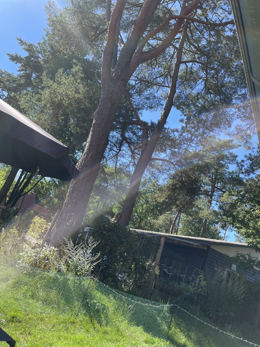 Heerlijk genieten hier op <a href="/landalnl/">Landal</a> Heideheuvel in Beekbergen 🤗… Wat hebben we toch prachtig weer! 🌞🌞… Zo gaan we het nog wel even volhouden! 😉…