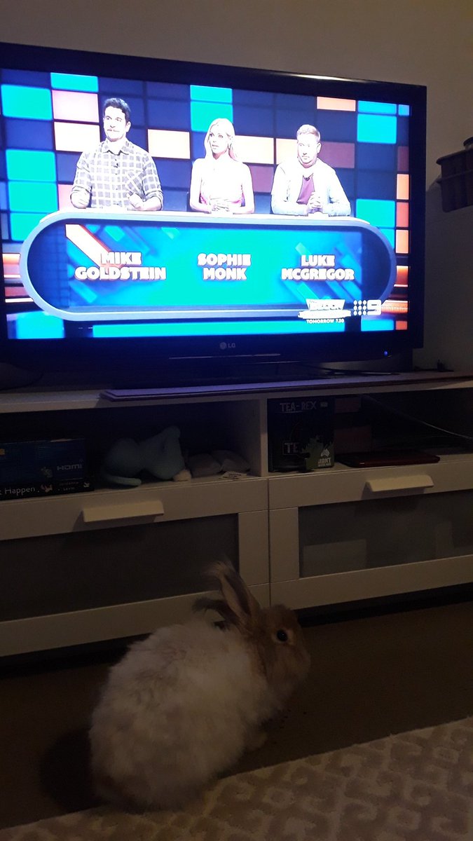 Ralph enjoyed watching tonight's episode and loved when Sophie Monk wins! @andytomlee 
#tuesday #tuesdayvibe #thehundredwithandylee #housebunny