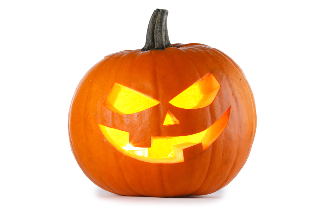 candlesloverusa's tweet photo. "🎃 #Pumpkin #candle season is here! The warm, spicy scent that fills the room is pure autumn #magic. 🍁 #PumpkinCandle #FallFragrance"

Visit Us : https://t.co/7OzLEf2Hj2 https://t.co/Id56vPZSIY
