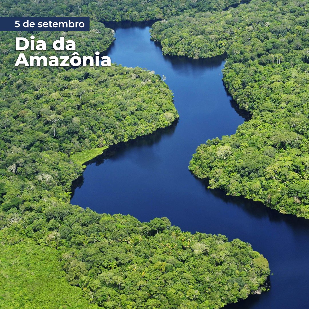 A #Amazônia, maior bioma do país, é importante para o Brasil e o mundo. Pode contribuir ainda mais com desenvolvimento socioeconômico do país, à medida em que se consolidar reconhecimento do potencial da bioeconomia e outras formas de impulsionar crescimento com sua conservação.
