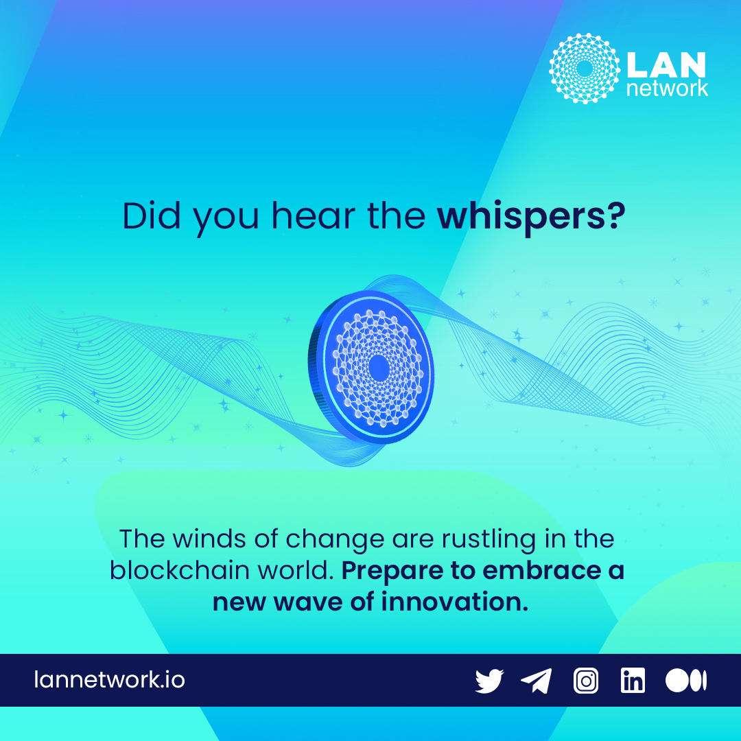 LAN Network tweet media