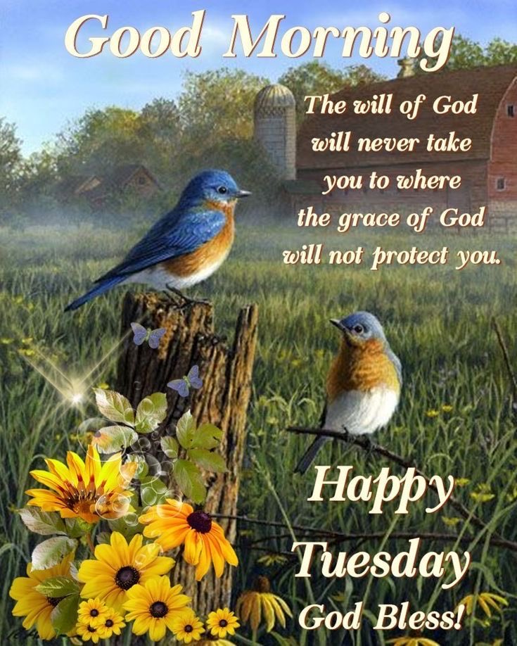 💛🕊️♱ 📖 Good Morning 📖 ♱🕊️💛 
The will of God will never take you to where the grace of God will not protect you. HaveFaith/Trust/Believe 

Have a beautiful Tuesday-God Bless