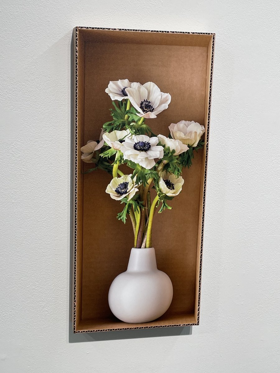 Daybook: A floral still life housed in a cardboard box, deliberately confusing the viewer's sense of visual depth and flatness. Daniel Handal at CLAMP. collectordaily.com/daniel-handal-…