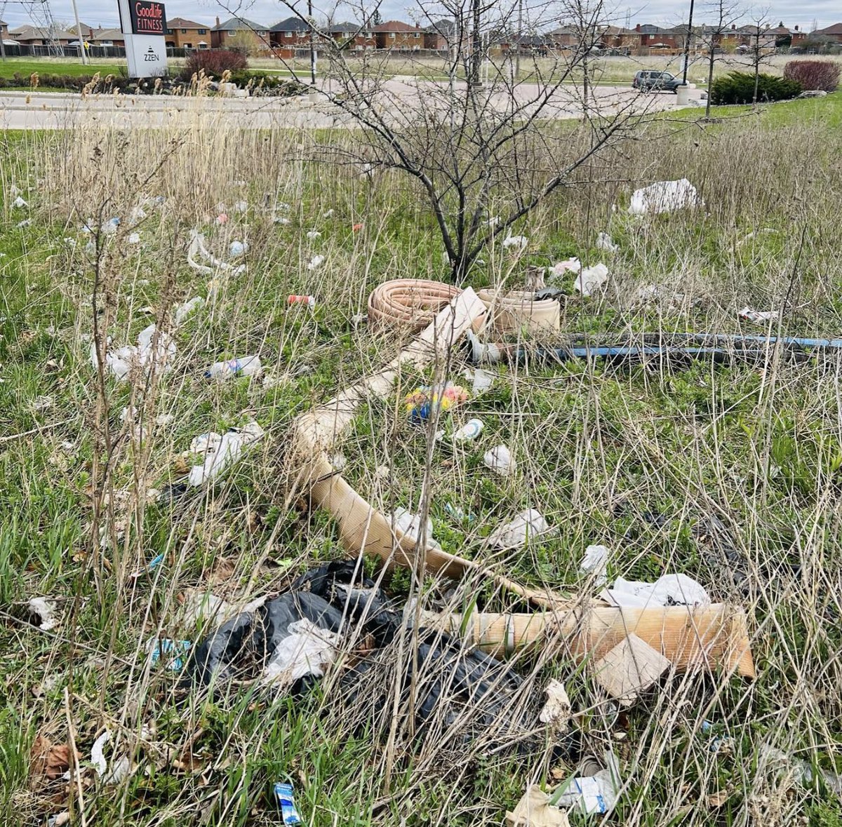 Truly a disturbing sight… luckily we cleaned up this area at our last clean up event 💪 #litterridder
 🏷️ 
#litterpicking
#littering 
#litterpick 
#littercleanup
#trashtag 
#trashpicker 
#trashcleanup 
#trashhauling 
#earthday 
#earthdayiseveryday 
#pickitup 
#cleanup