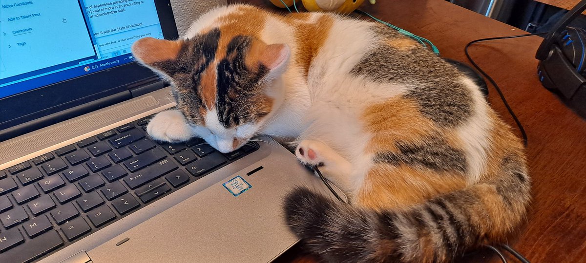 RobRyan03's tweet image. I didn&apos;t need that number pad anyway.... #remoteworkproblems