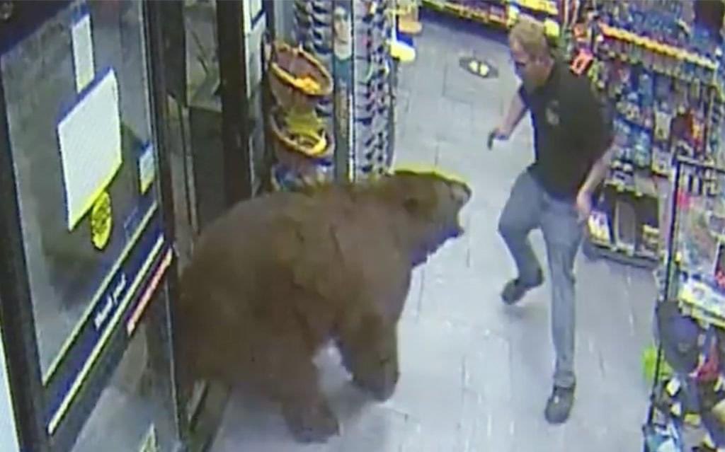 Todo hombre que se precie tiene una estrategia para salir vivo de esta situación