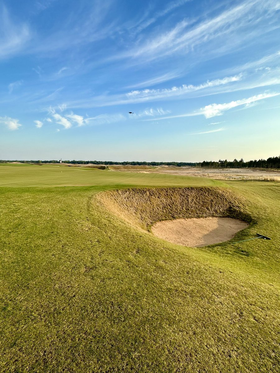 Frankie Borrelli tweet media